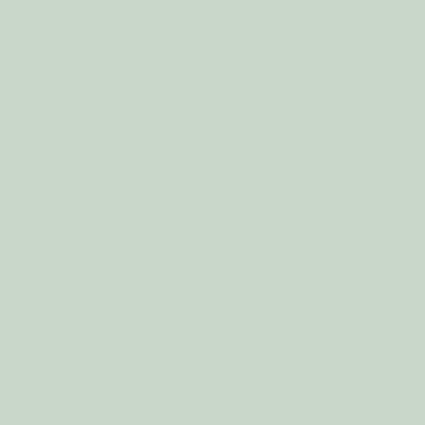 Gush Core Interior Paint