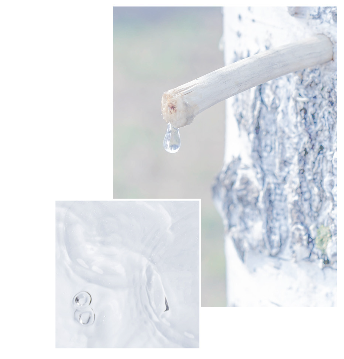 韓國 Anua 白樺樹 10 重透明質酸 強效密集 修護面膜 10片/盒｜Birch Moisture Mask