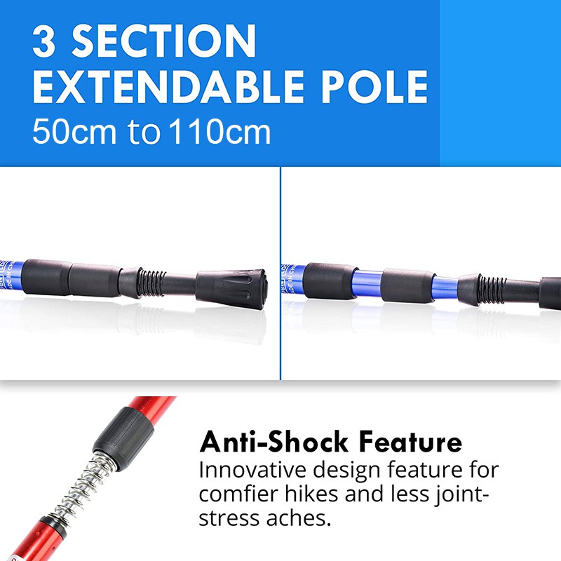 Hiking / Trekking Stick