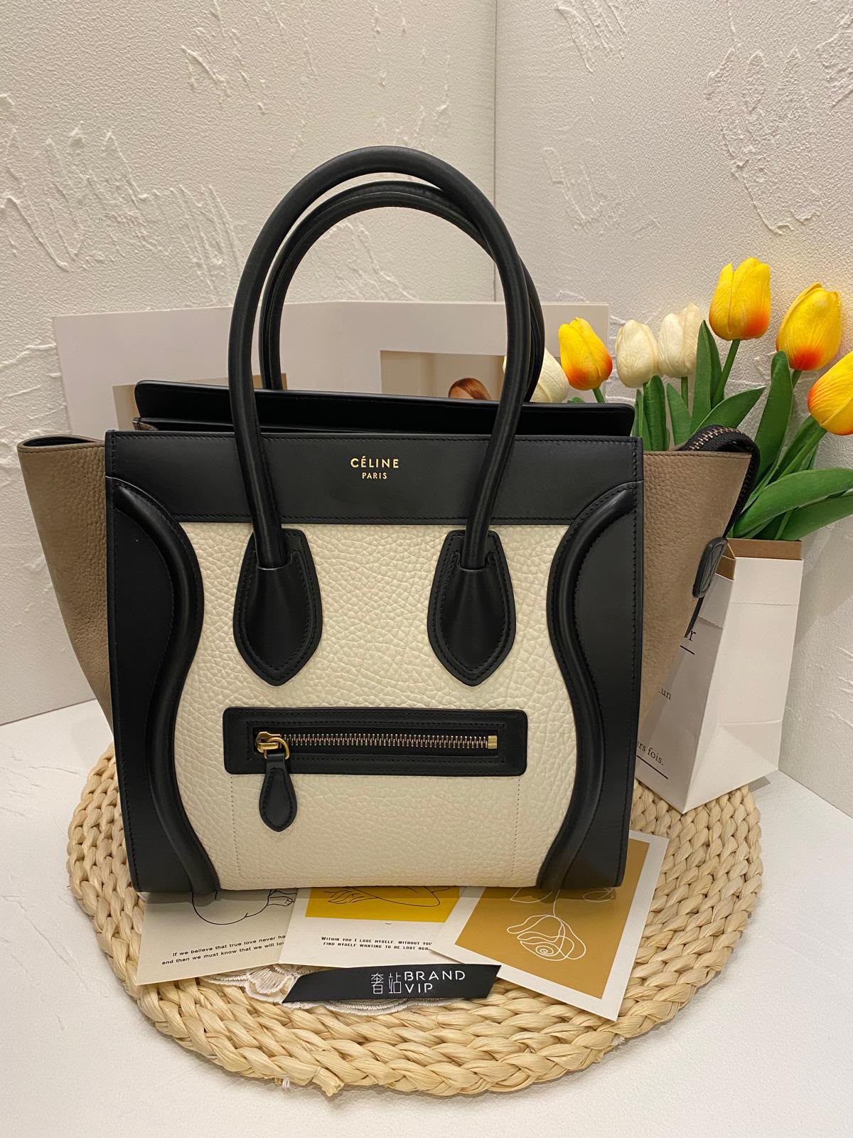 Celine Tricolor Luggage Bag