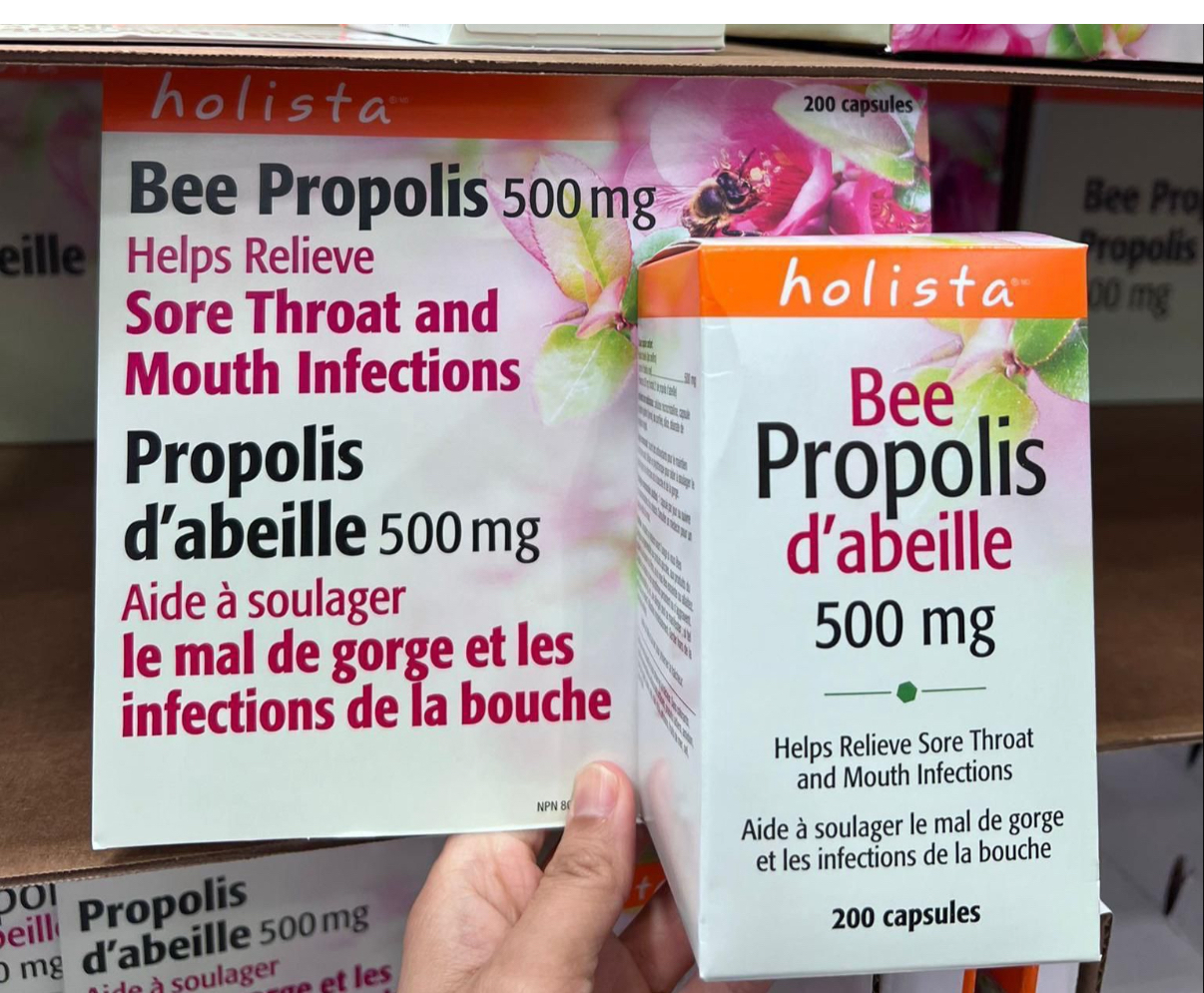預購加拿大直送 加拿大Holista Bee Propolis 蜂膠500毫克 200粒膠囊