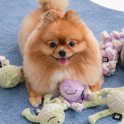 *預購 BiteMe🇰🇷 BITE ME Long Hands Ball Toy (青蛙/八爪魚)