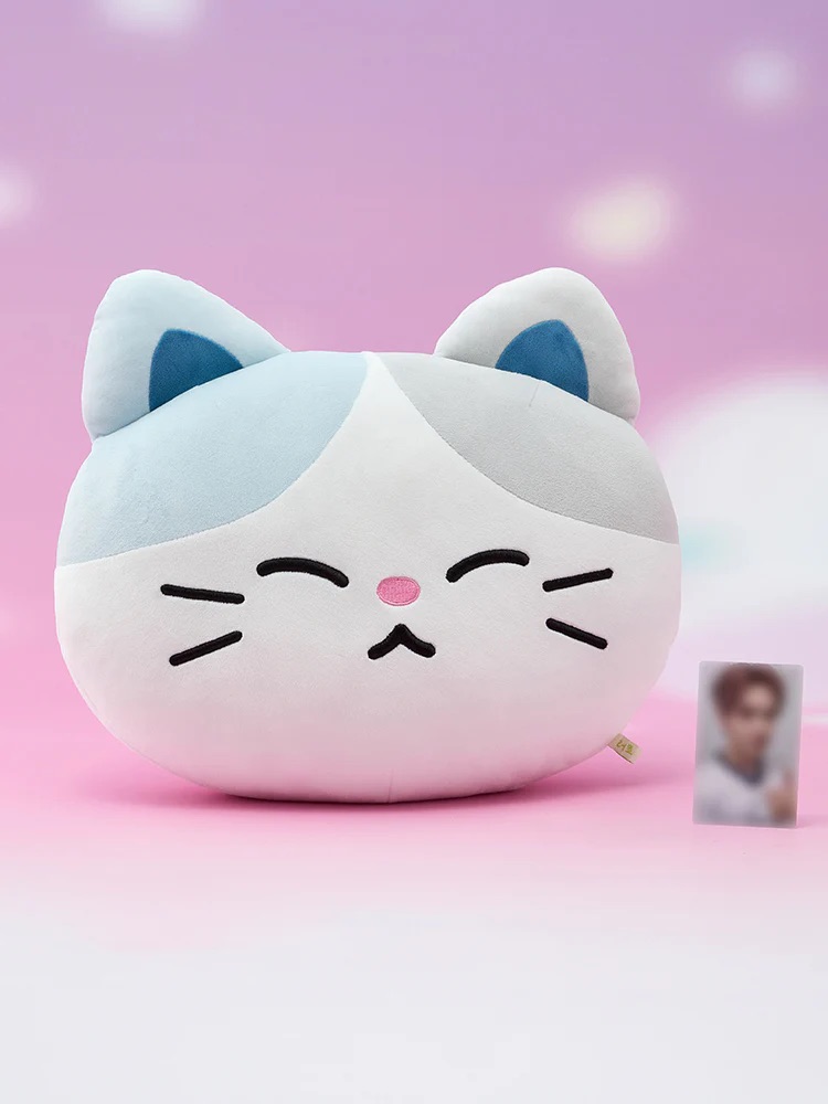 📦訂購 韓國代購 NCT DREAM SWEET Dreamiez MEDIUM PLUSH CUSHION 大頭抱枕