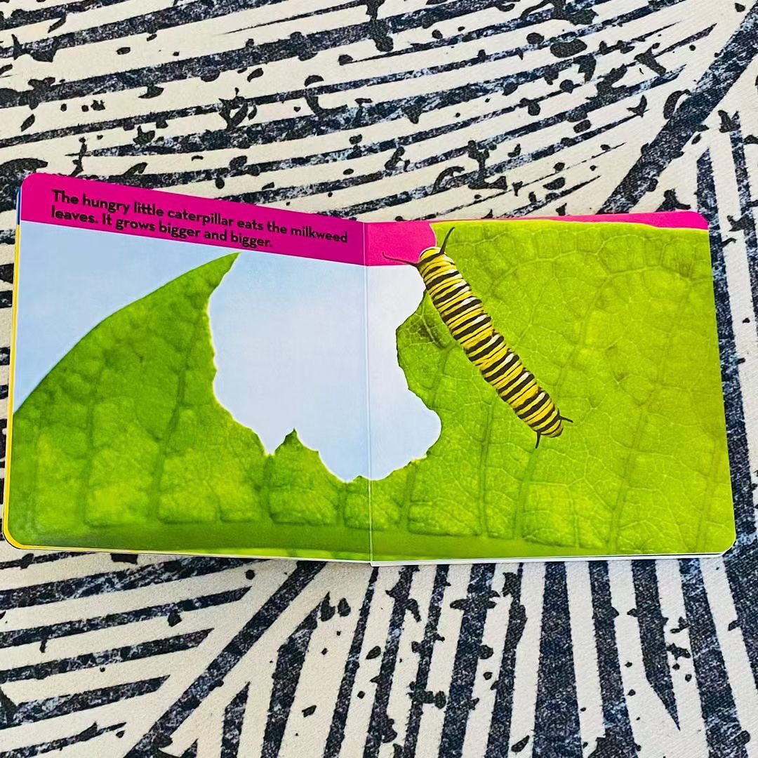 National Geographic Kids Look and Learn 國家地理幼幼探險家 啟蒙百科動物紙板書｜12 books｜點讀版