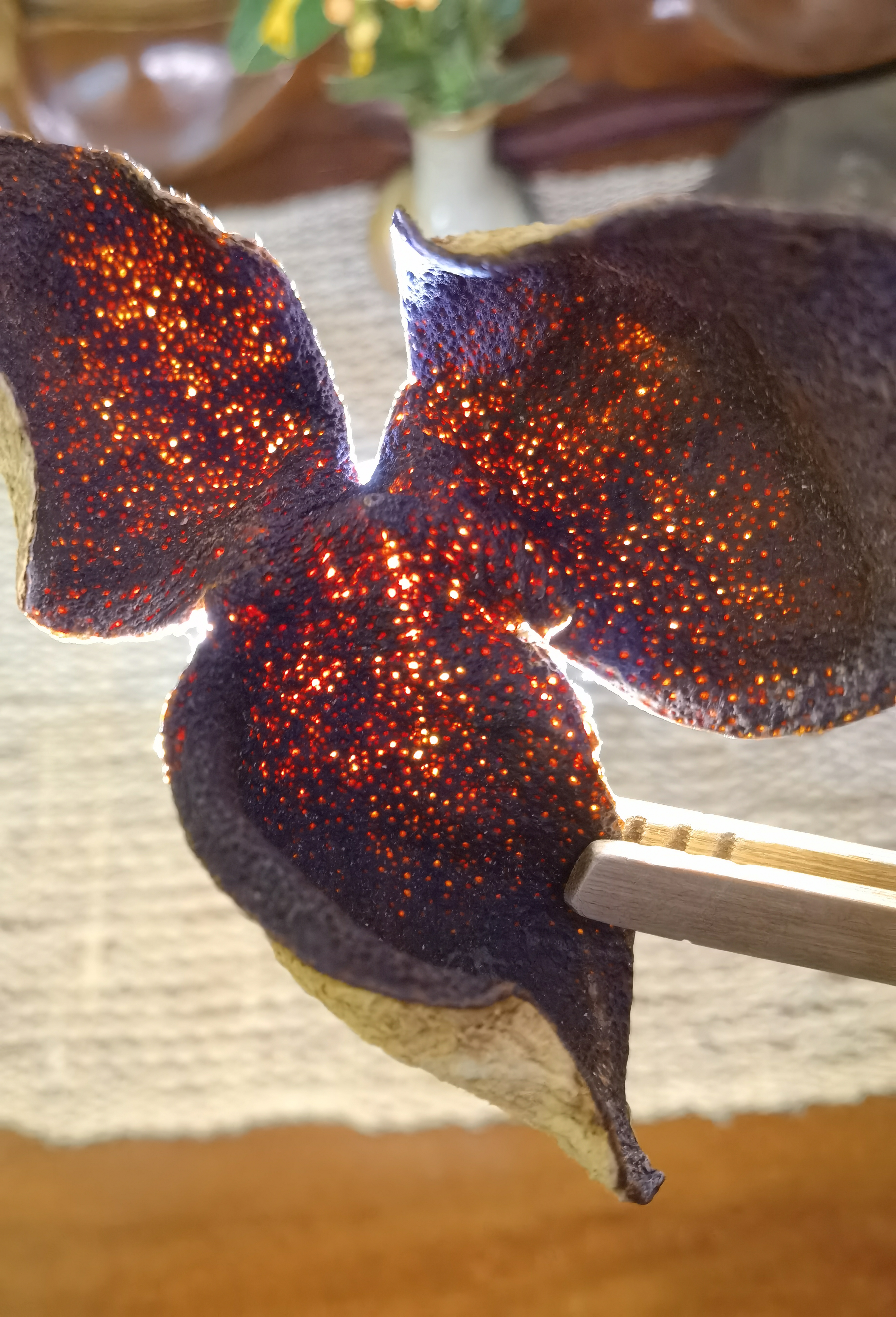 2010年 新會梅江大紅皮 - <有需要請聯絡我們 852-6329 6186>