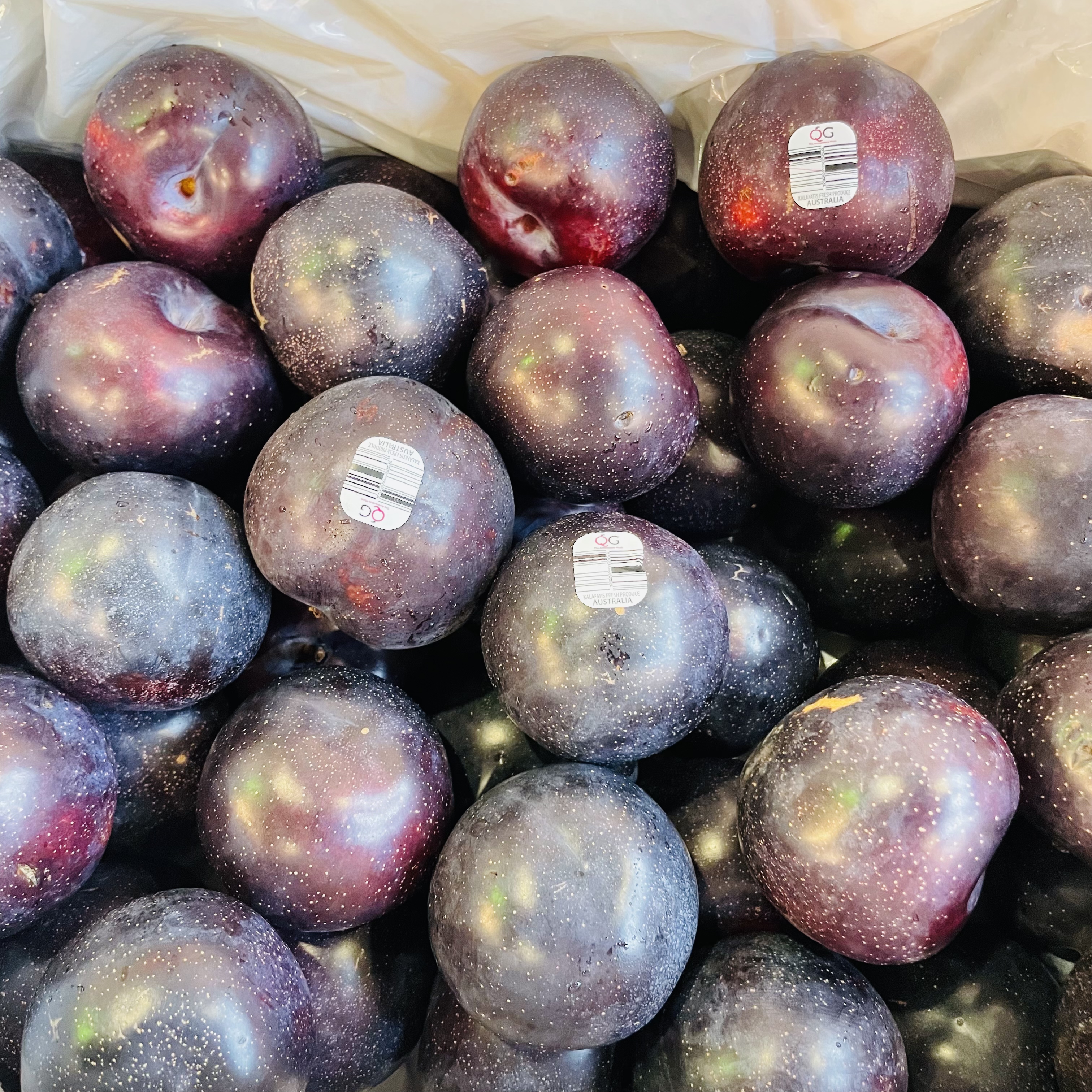 【澳洲皇后梨(黑布冧) 】$40/1磅