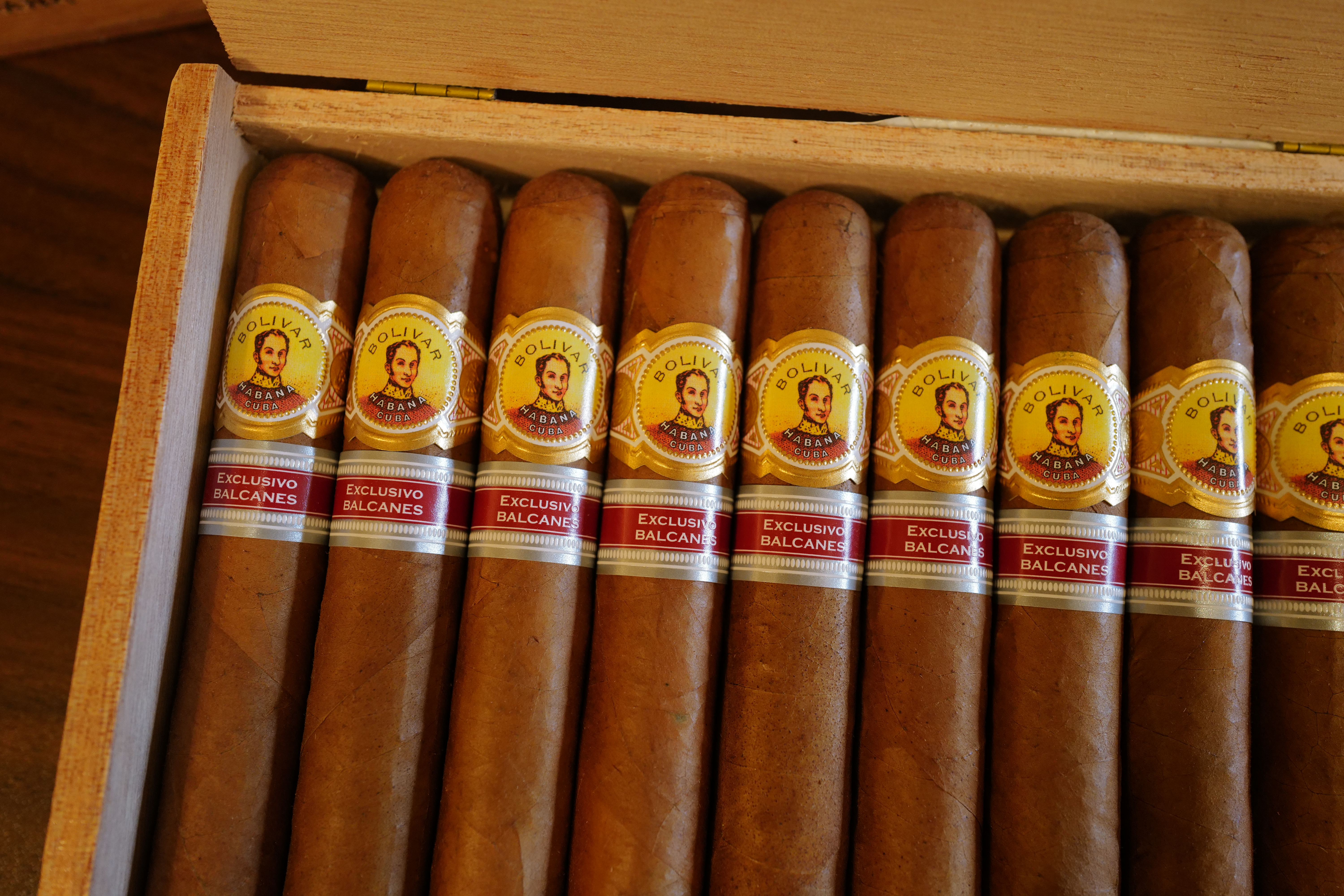 Bolivar Orenda Edición Regional Balcanes 2025 