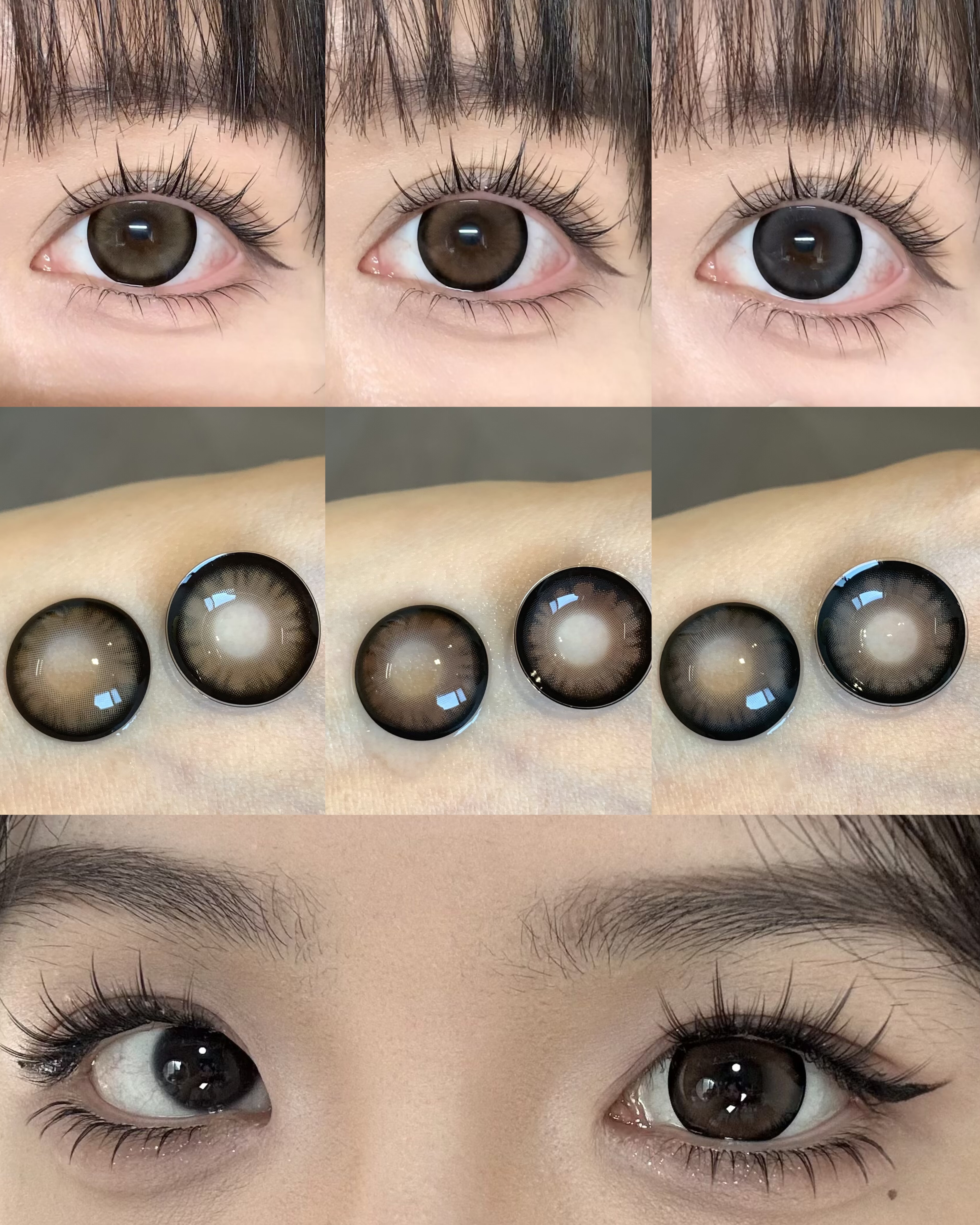 Macycon 月拋 芝士小狗/可愛比熊/萌萌貴賓