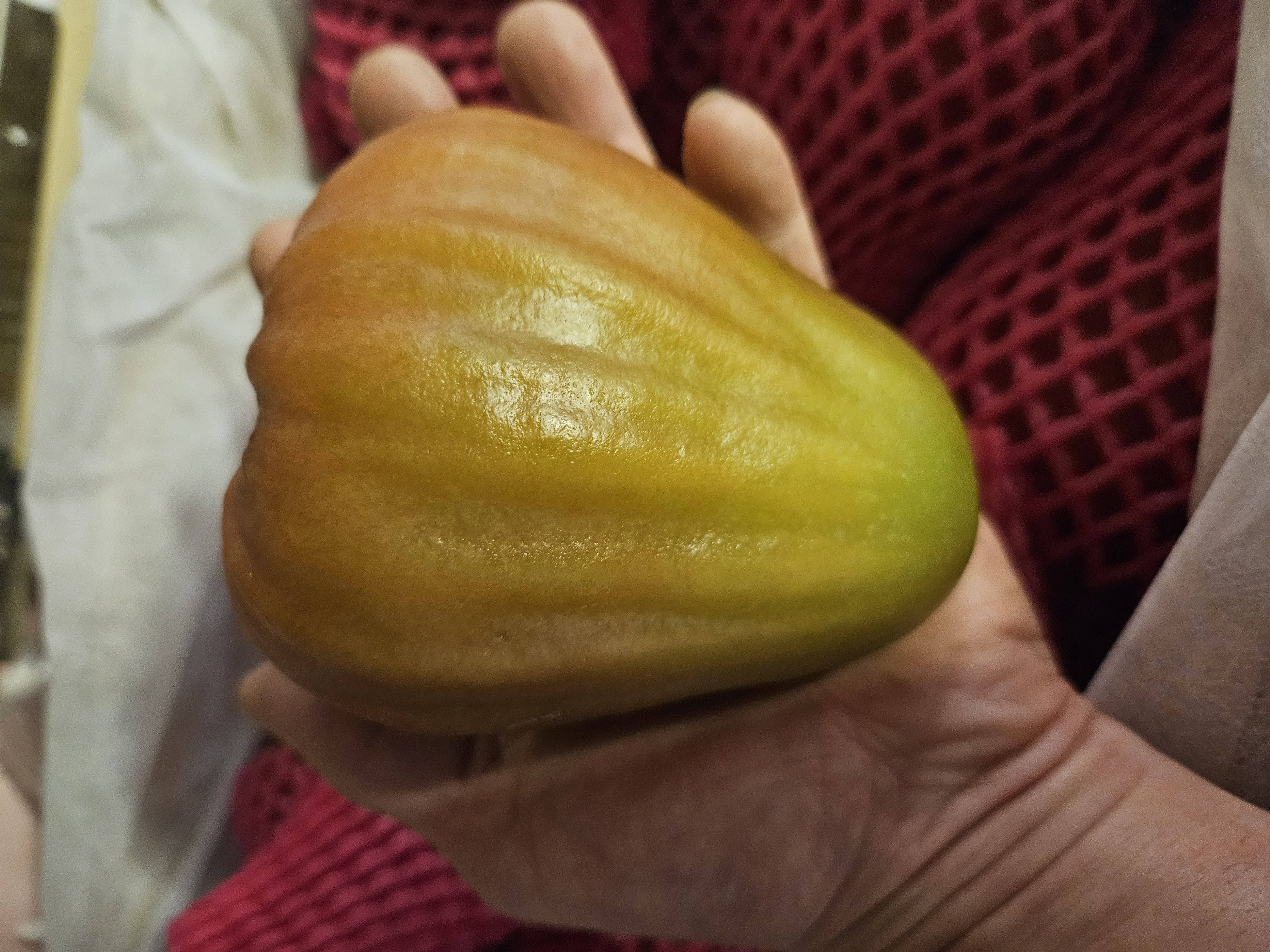 台湾頂級巴掌蓮霧 每份两個