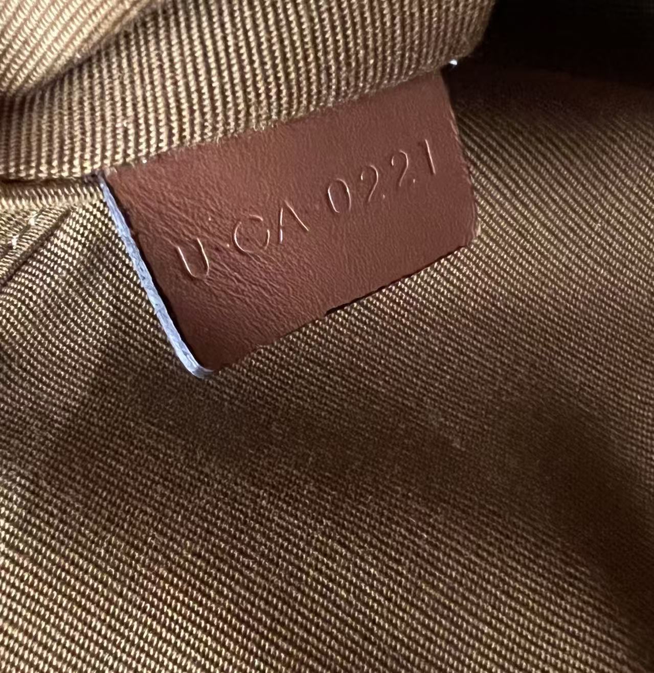 Celine Medium Patapans in Triomphe Canvas