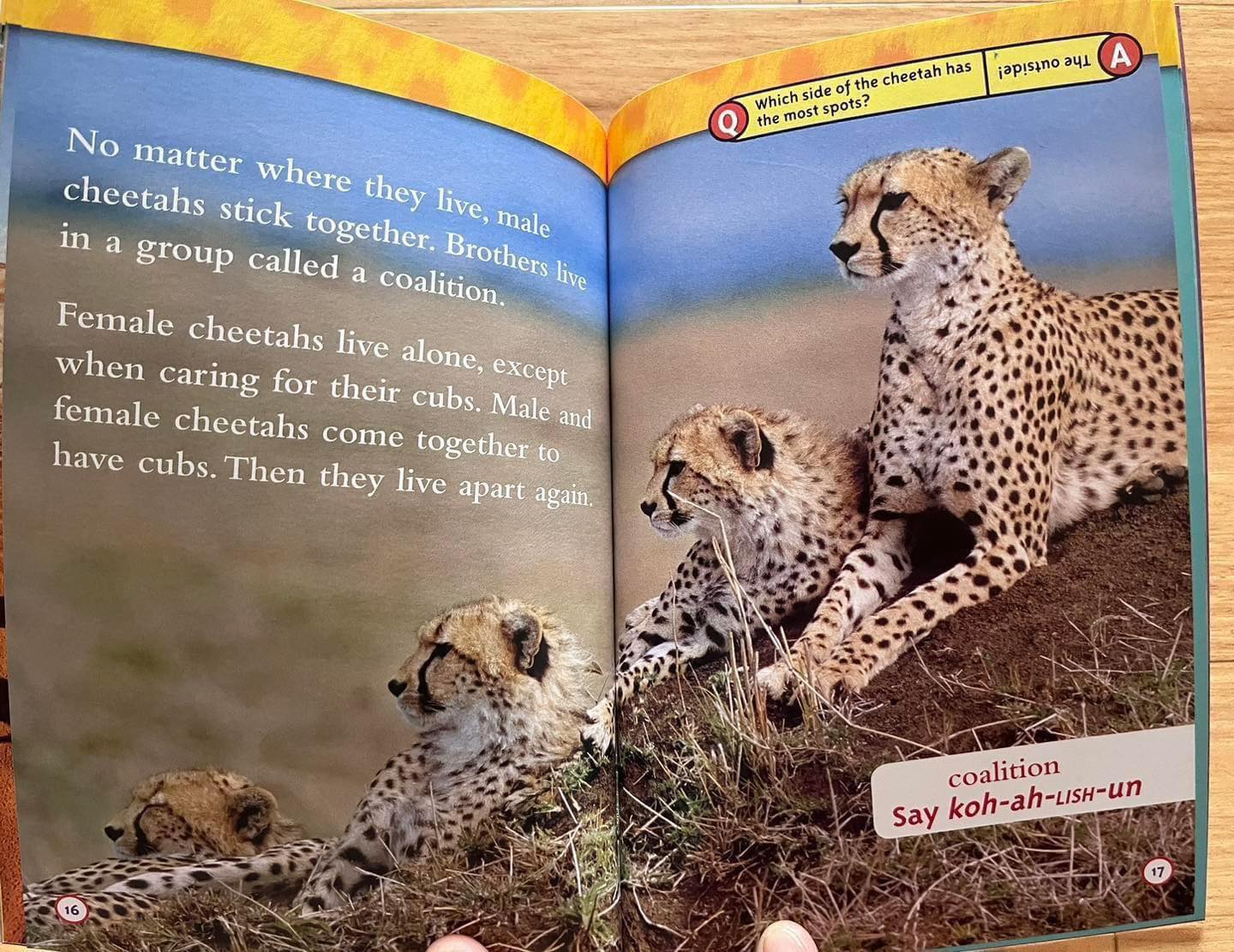 National Geographic Kids Level 2 國家地理分級讀物 第二季 L2 兒童百科書｜25 books｜點讀版