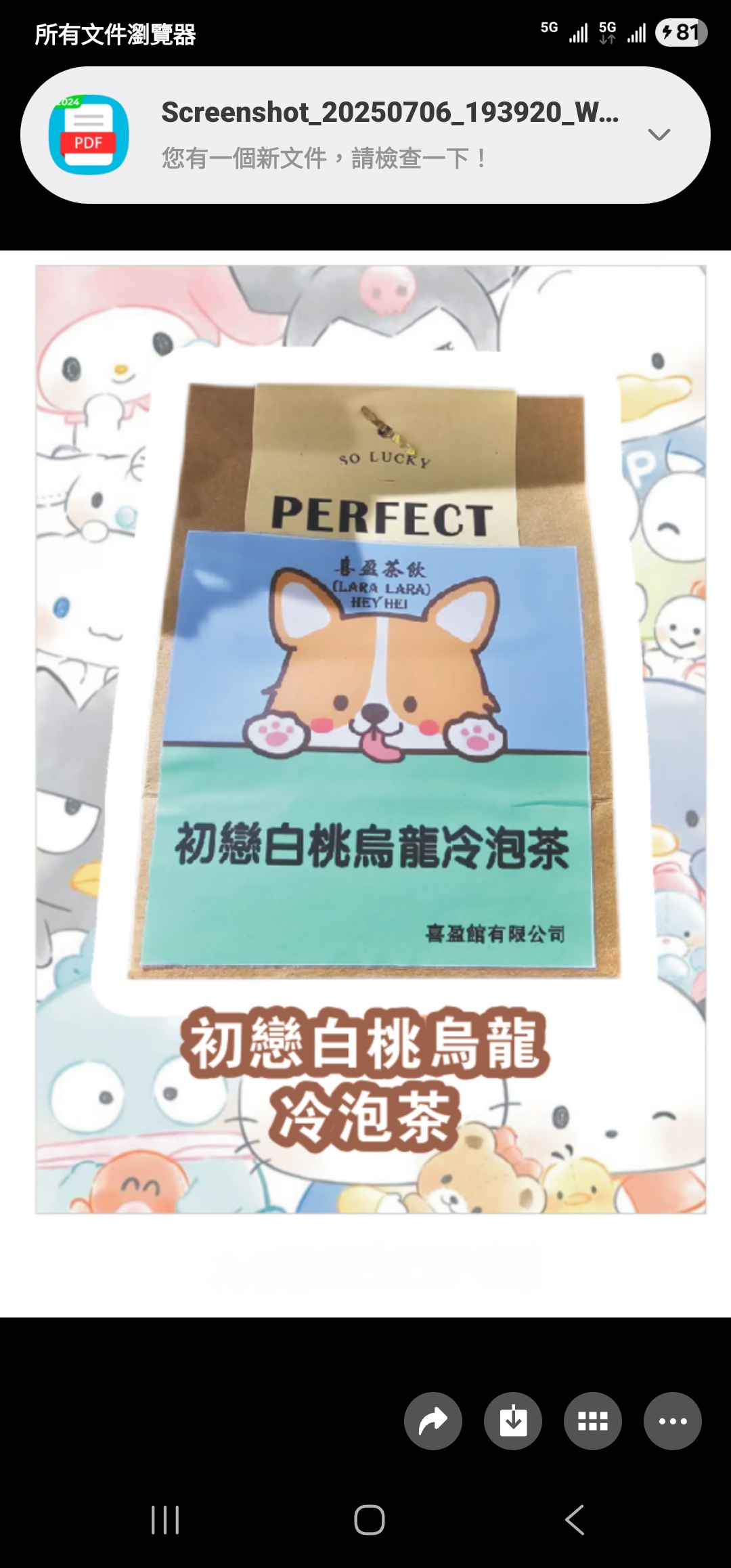 ***Lara-Lara 台灣果味初戀白桃冷泡茶茶包***