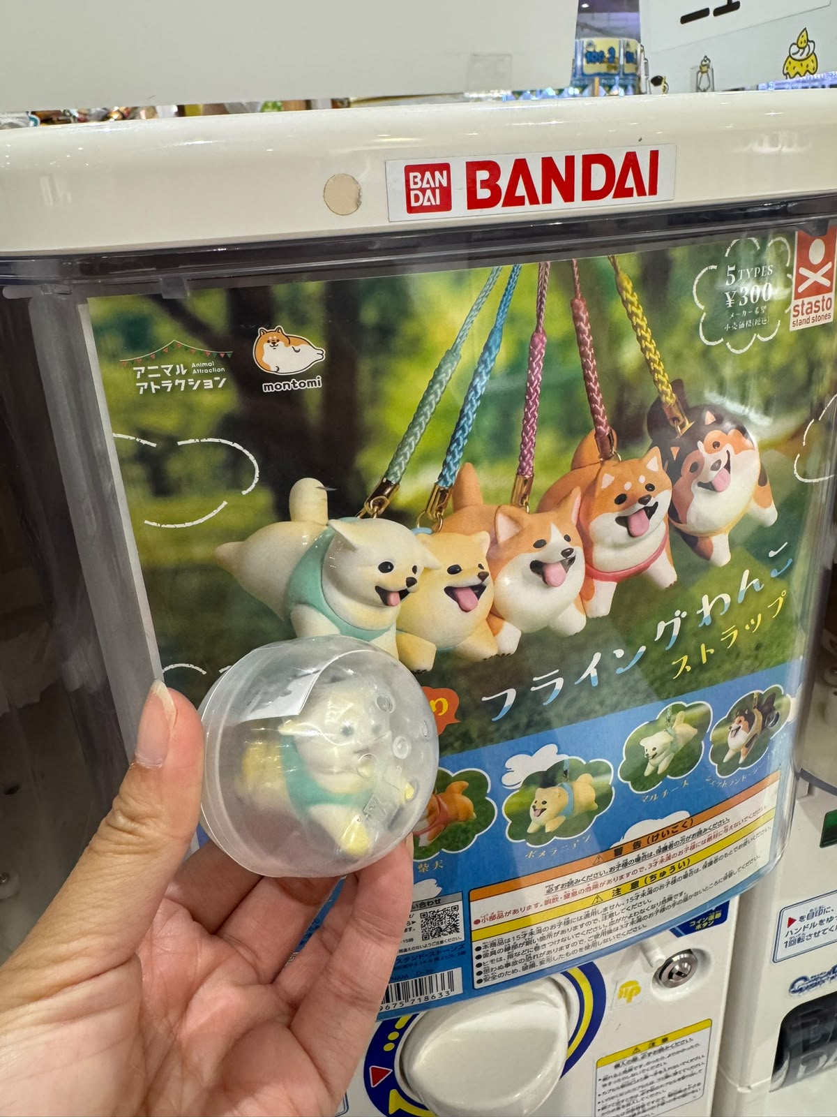 ✨連線商品需補運費✨Animal Attraction 飛天狗狗吊飾扭蛋