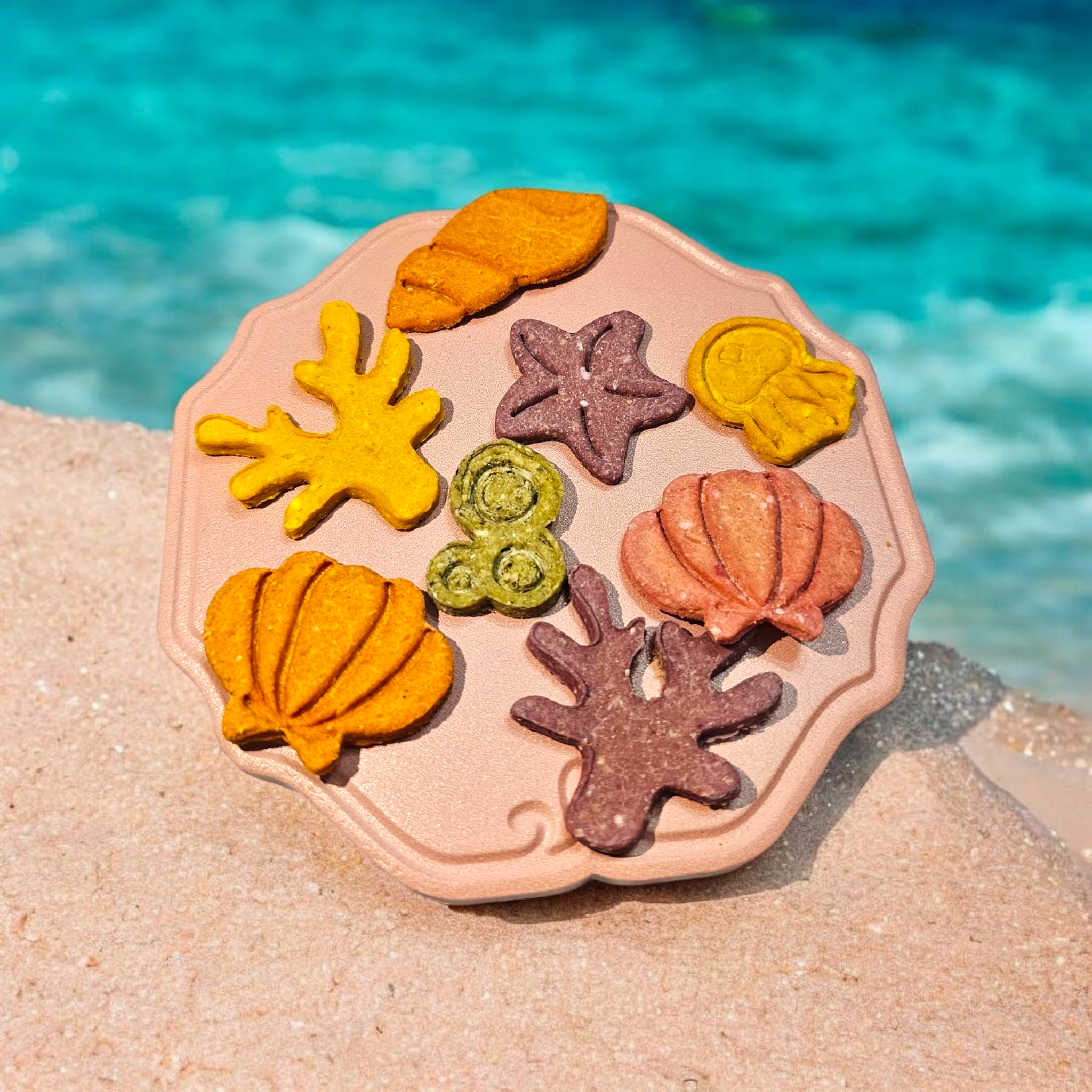 Mini Ocean小海洋餅