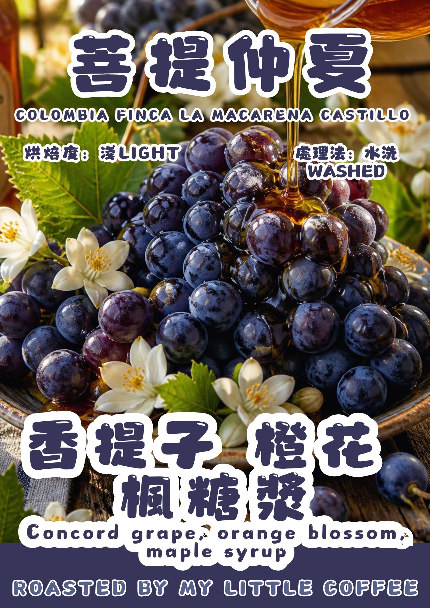 咖啡豆- 哥倫比亞菩提仲夏