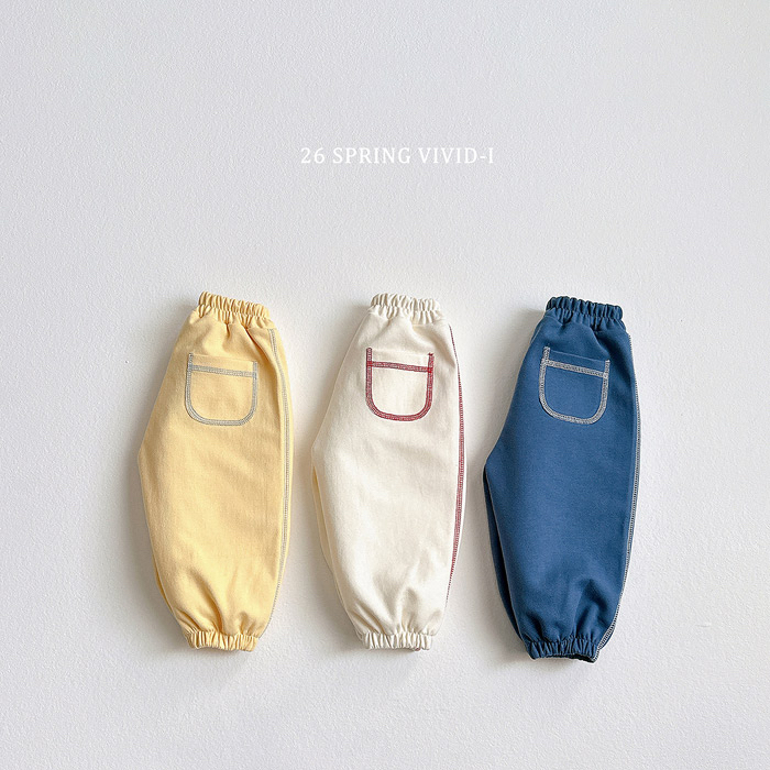 🇰🇷vivid_i pants