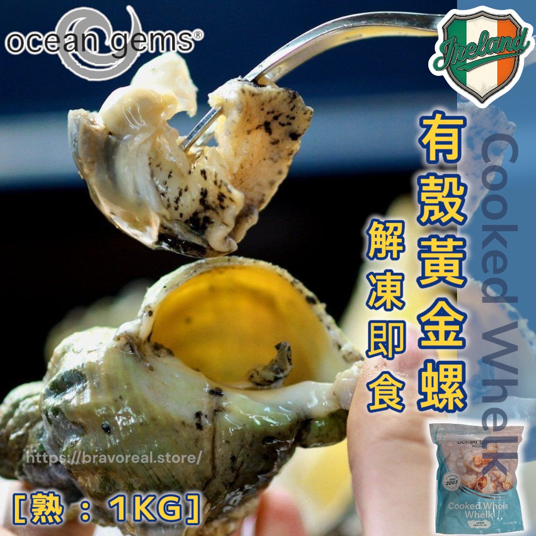 愛爾蘭 - 直送 有殼黃金螺 [ 熟 25-30本 1000g ]