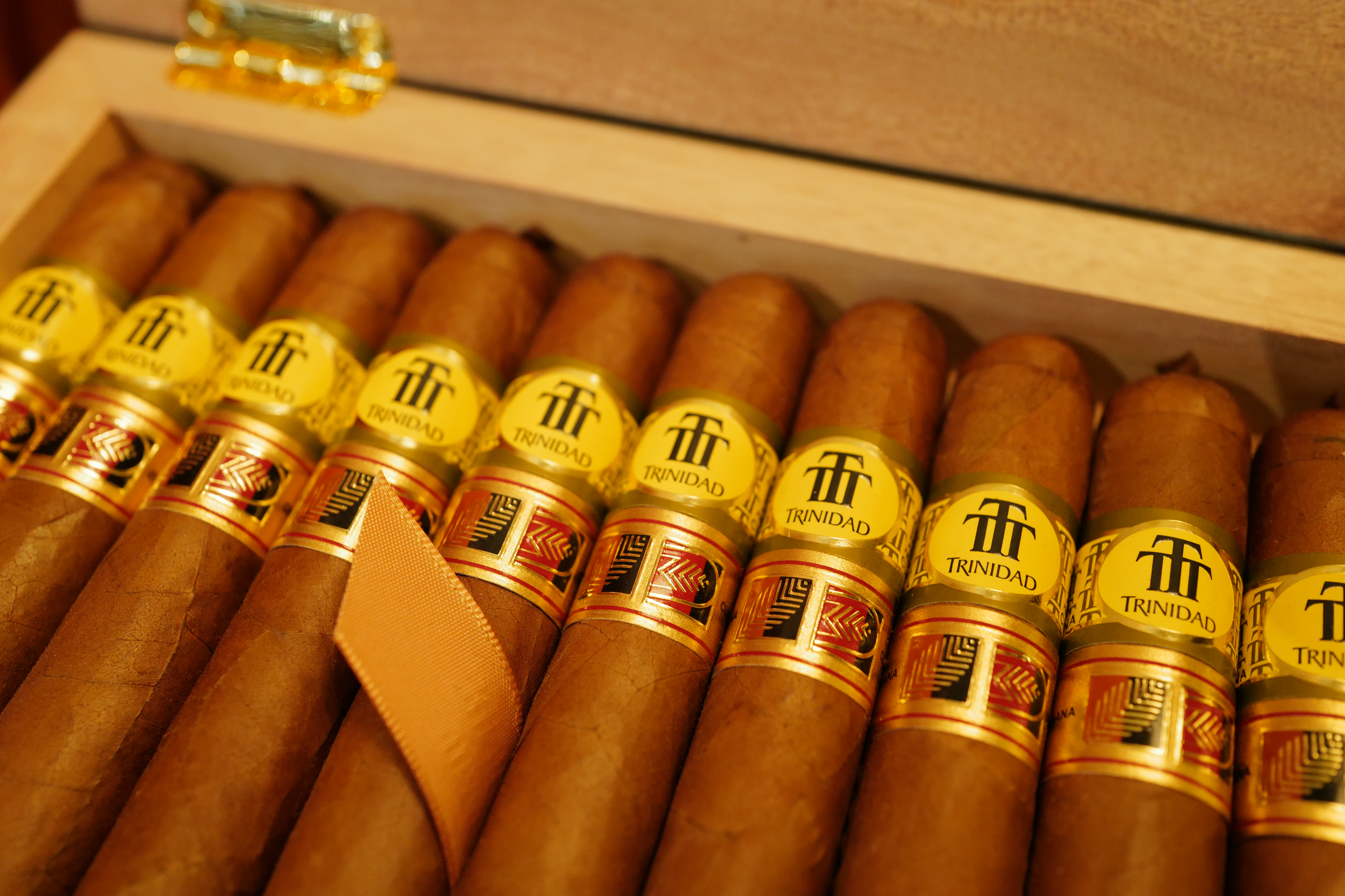 Trinidad Villa Especialista en Habanos y La Casa del Habano Exclusivo (千里達 別墅)