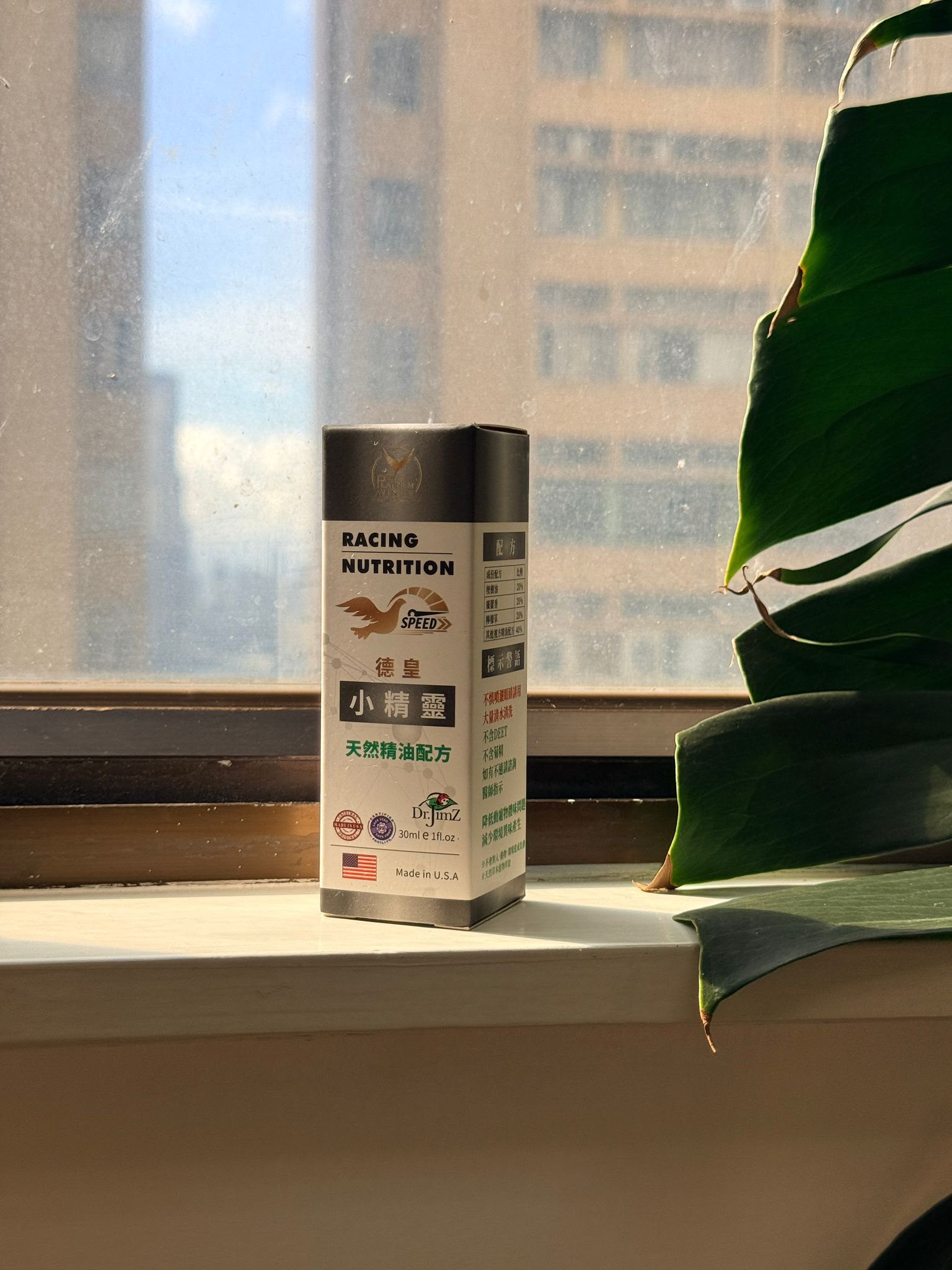 德皇戰鴿 小精靈