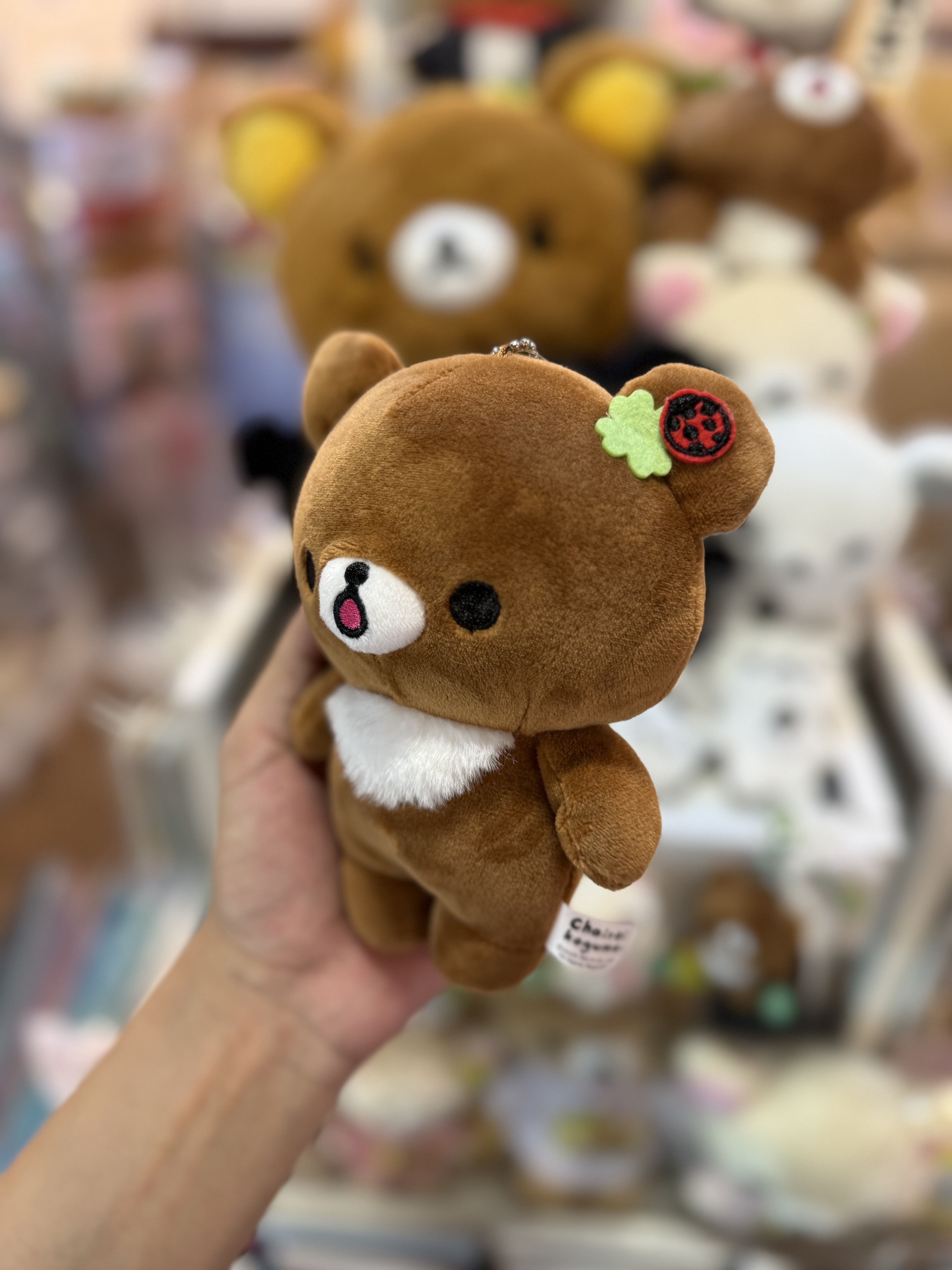 《現貨》全新日本限定小熊10週年紀念系列 茶小熊公仔型小物袋