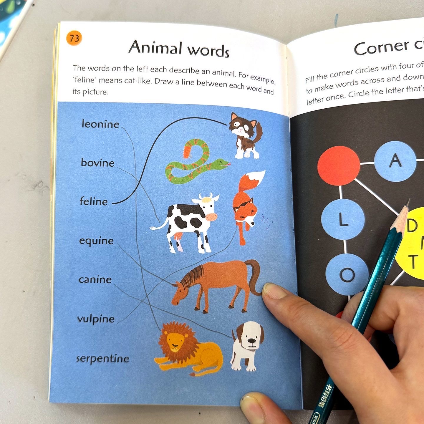 Picture Puzzles：Usborne（出版社） · Memory Puzzles、Number Puzzles、Brain Games、Brain Puzzles、99 Maths Puzzles、99 Word Puzzles：Usborne 旗下編撰，Simon Tudhope ， Various 編著