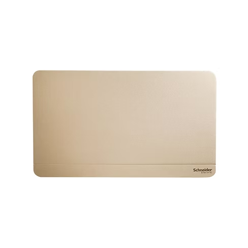 施耐德 AvatarOn 沉醉金 孖位 空白面蓋