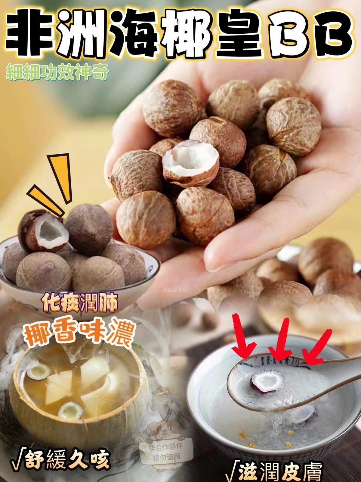 【預訂】非洲海椰皇BB 300g
