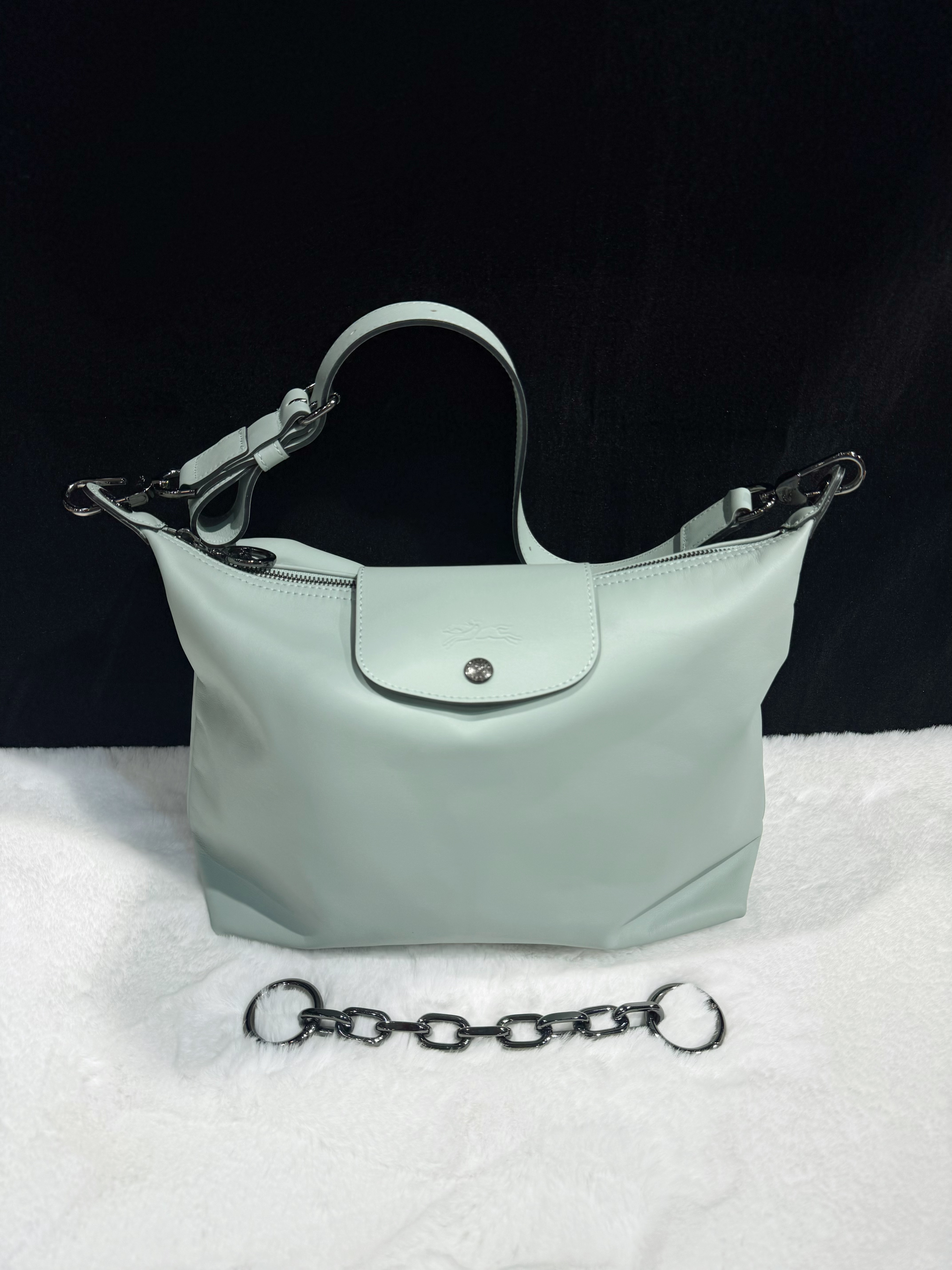 Longchamp xtra hobo Vervain