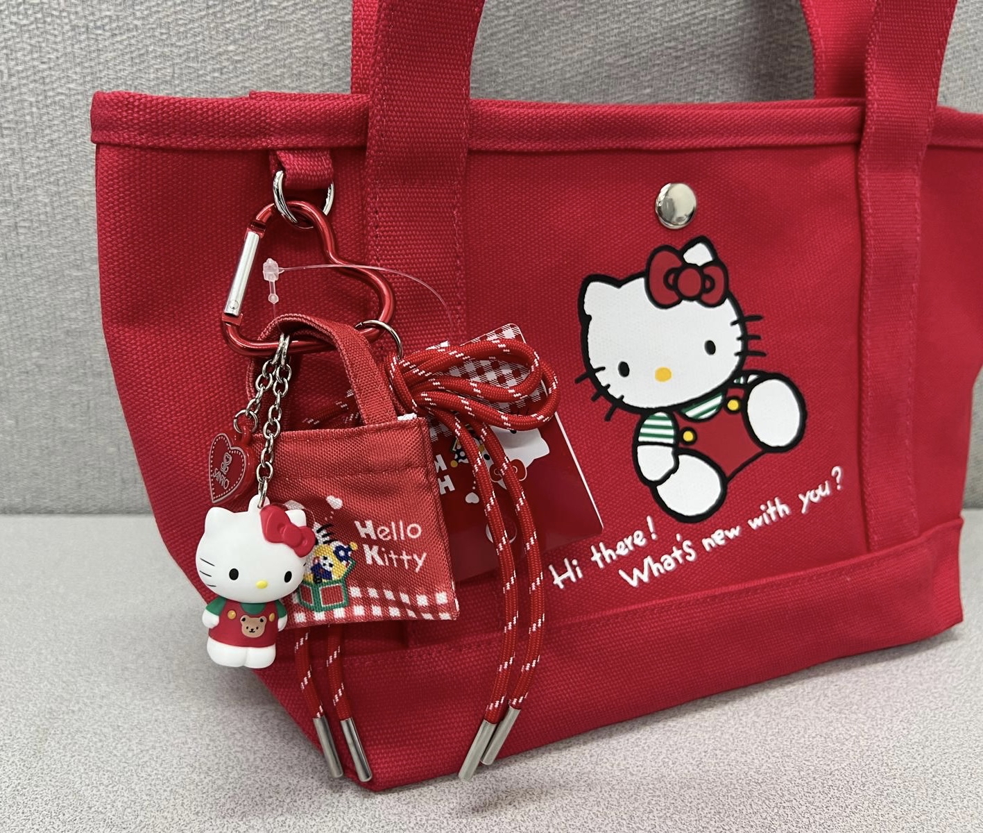 🎌日本直送🎌Sanrio 復古系列帆布手挽袋