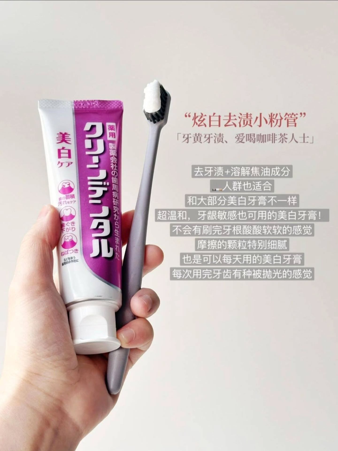 🇯🇵【 第一三共药用牙膏系列 】