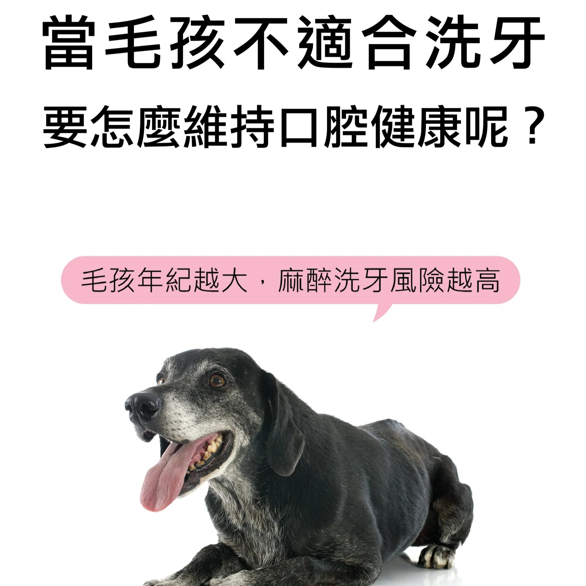 【7歲以上】貓狗口腔護理潔牙水【蔓越莓強效版】