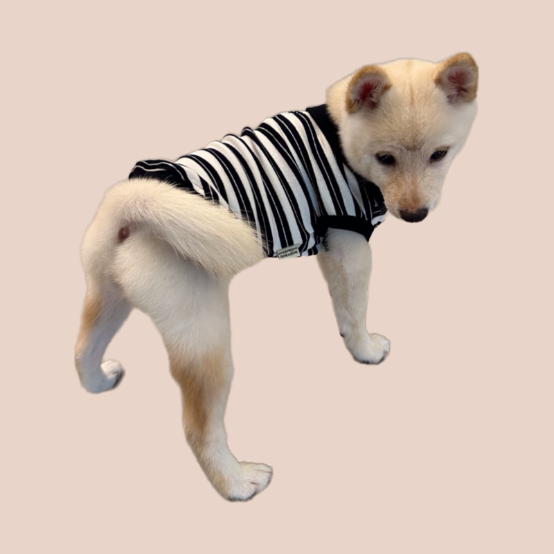 S650   黑白條紋T恤 Black and white striped T-shirt