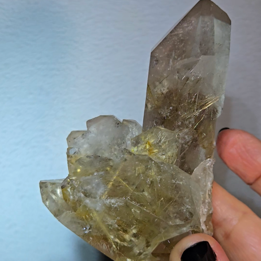 Golden starburst rutiles on black hematite in quartz - RT1429