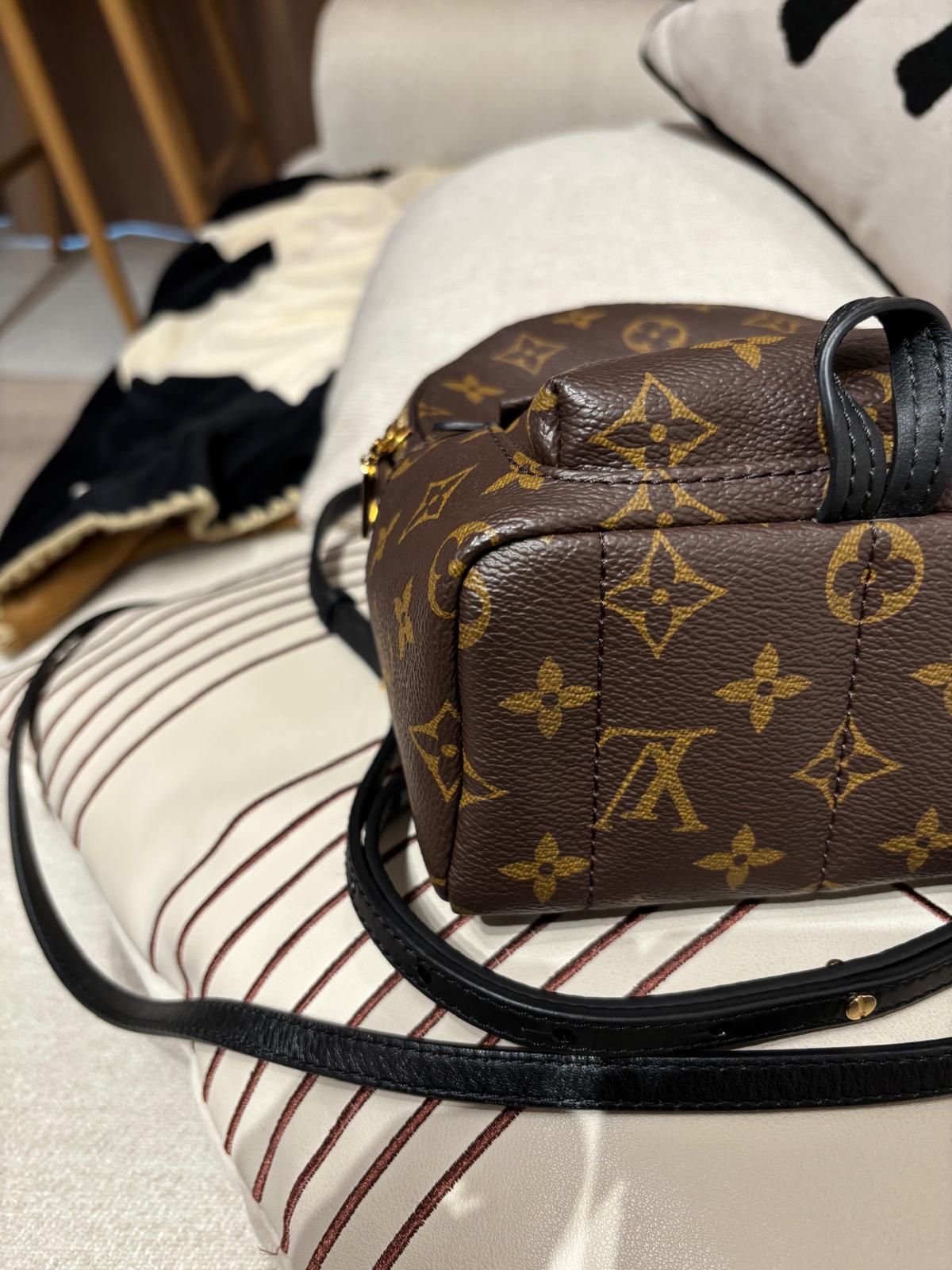 Lv mini Palm Springs backpack M44873 100%Authentic ,98%new ✅dust bag✅Strap