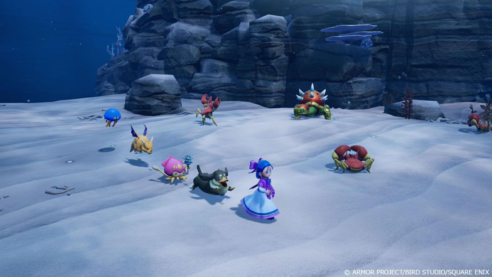 【預售 3/12】PS5 勇者鬥惡龍 怪物仙境4 大師版 Dragon Quest Monsters 4 - Master Edition 中/英/日文  (日文封面) PS5-2859