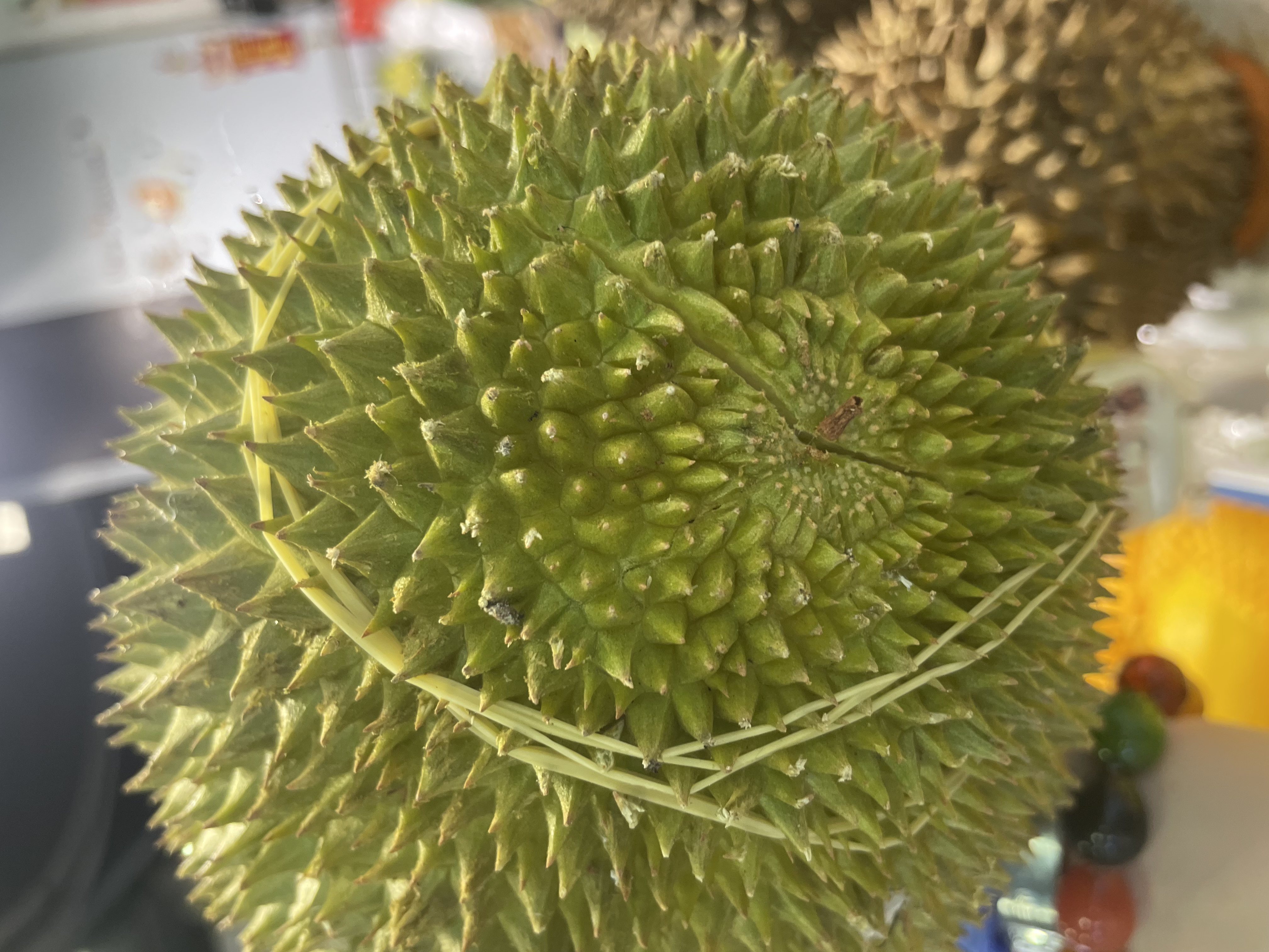 【🇲🇾馬來西亞金鳳榴槤💛】