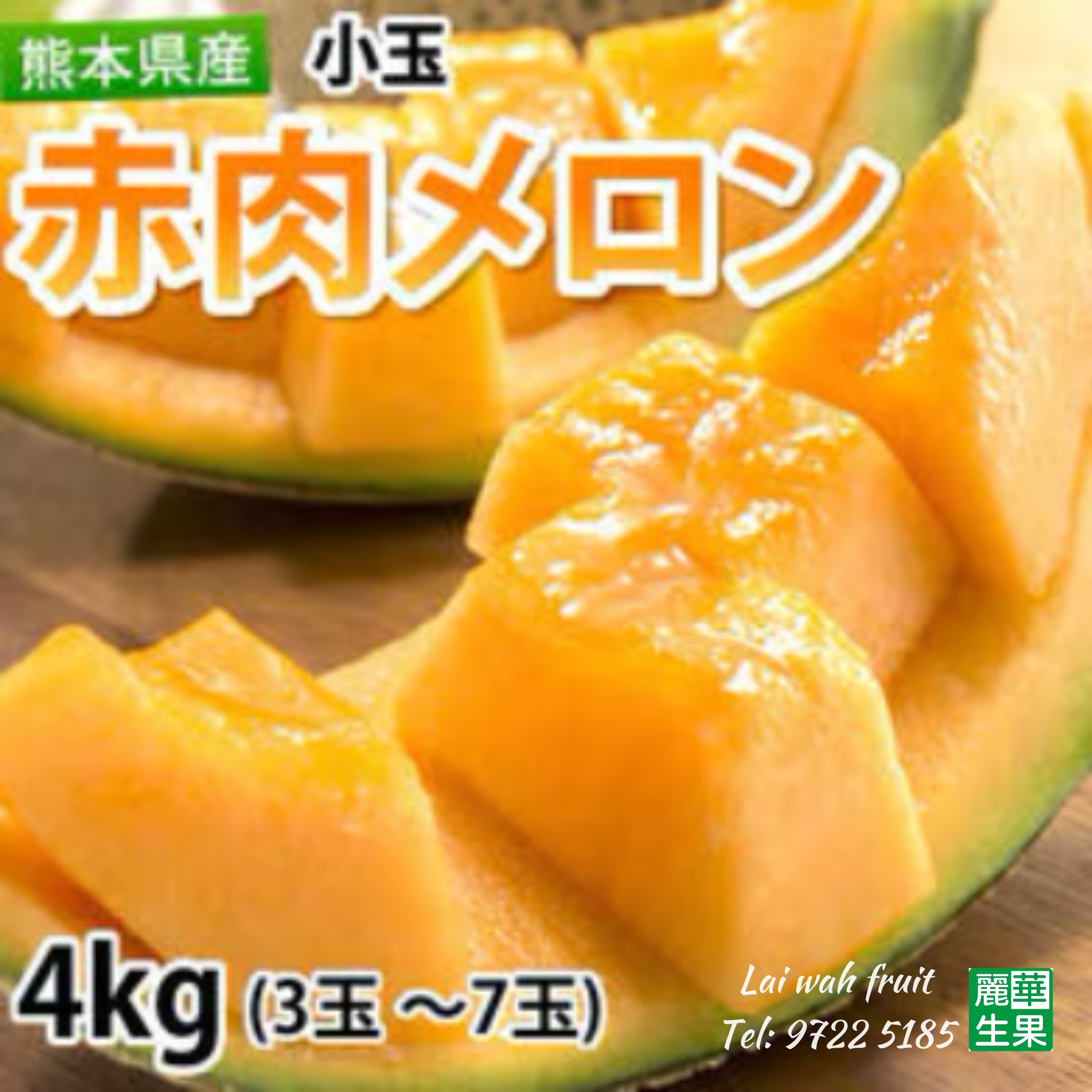 【🇯🇵🐻熊本赤肉蜜瓜🍈 】中型size(約1kg) 
