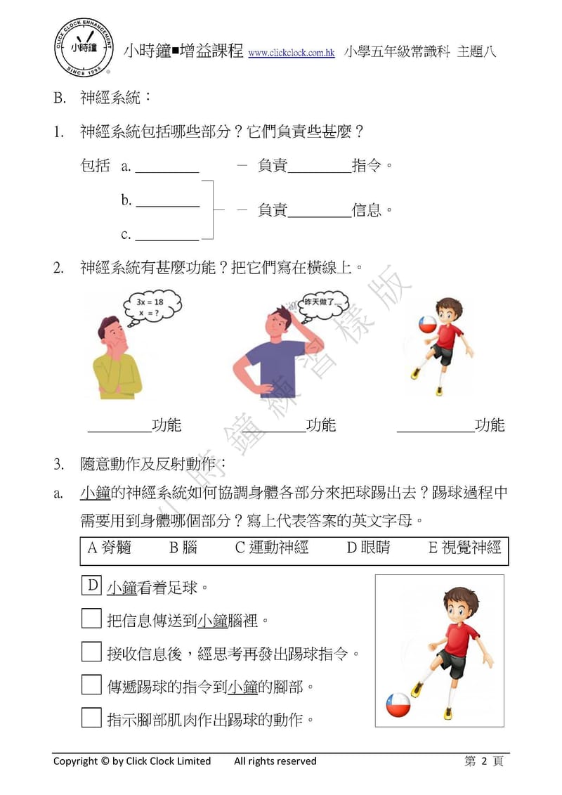 模擬試卷 (五年級)