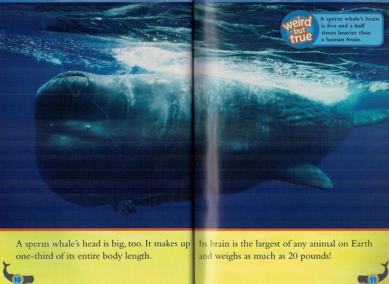 National Geographic Kids Level 3 國家地理分級讀物 第三季 L3 兒童百科書｜22 books｜點讀版