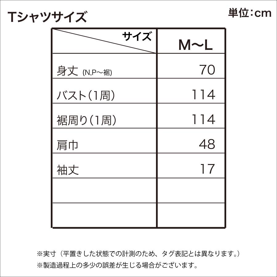 CY短袖T恤2500