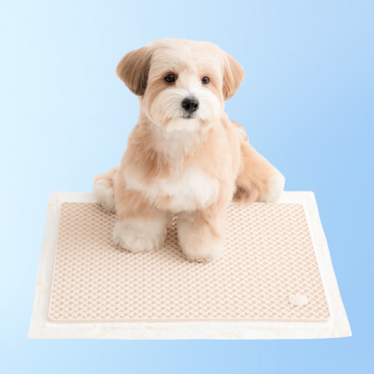 *BiteMe🇰🇷Zero Guard Silicone Mat