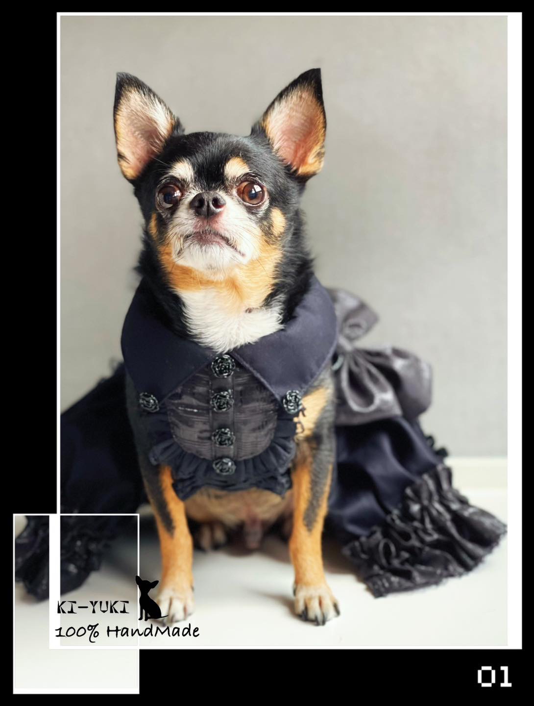 原創設計手作 寵物胸背帶 暗黑主題造型胸背帶