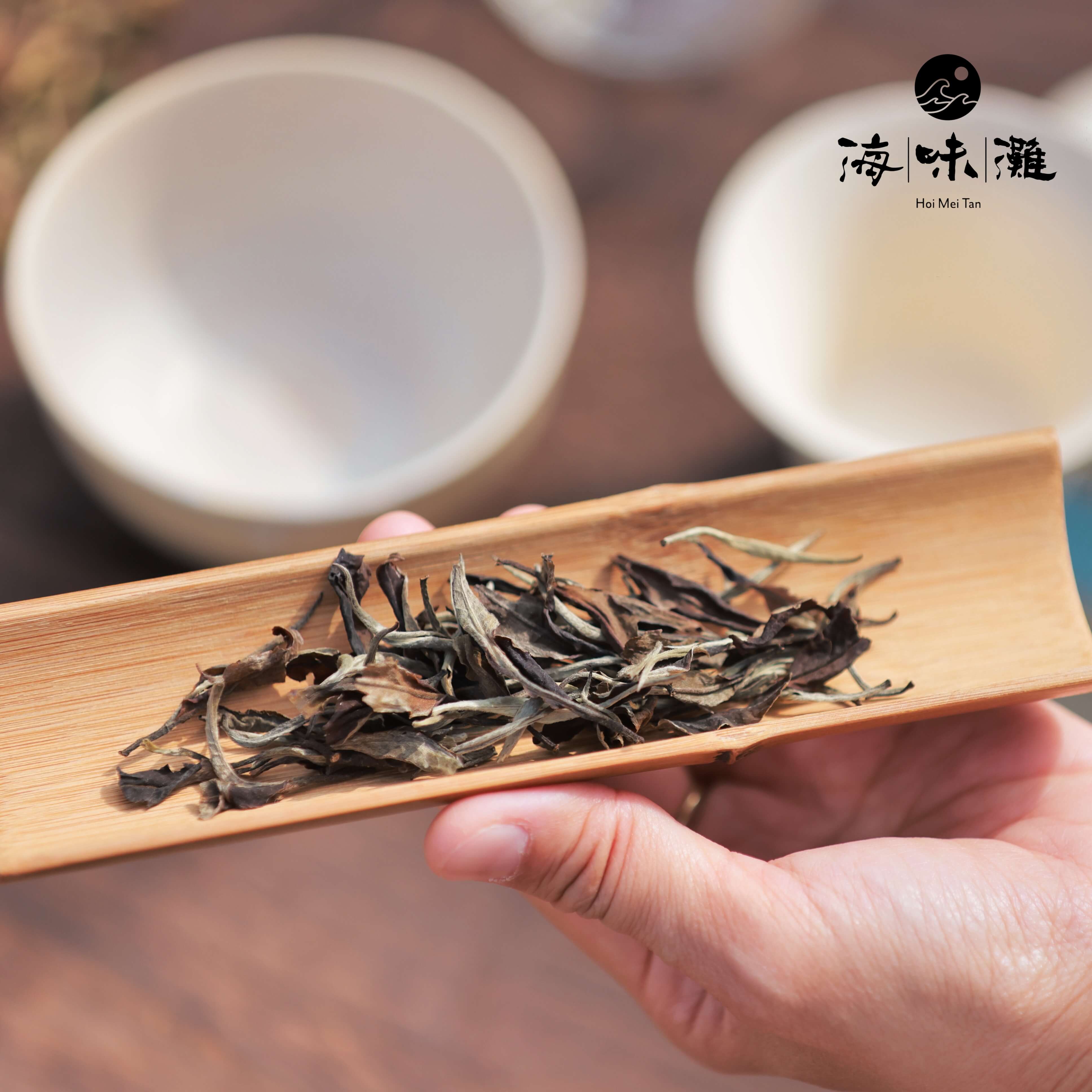 森照（40克鐵罐裝）