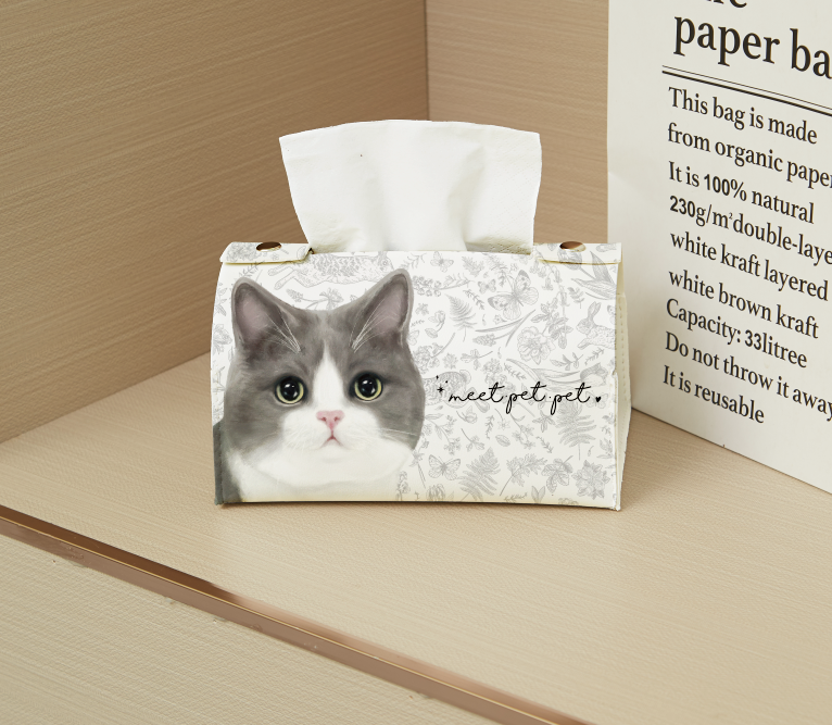 ⋆ 英短 ⋆ 紙巾套 ⋆ British Shorthair ⋆