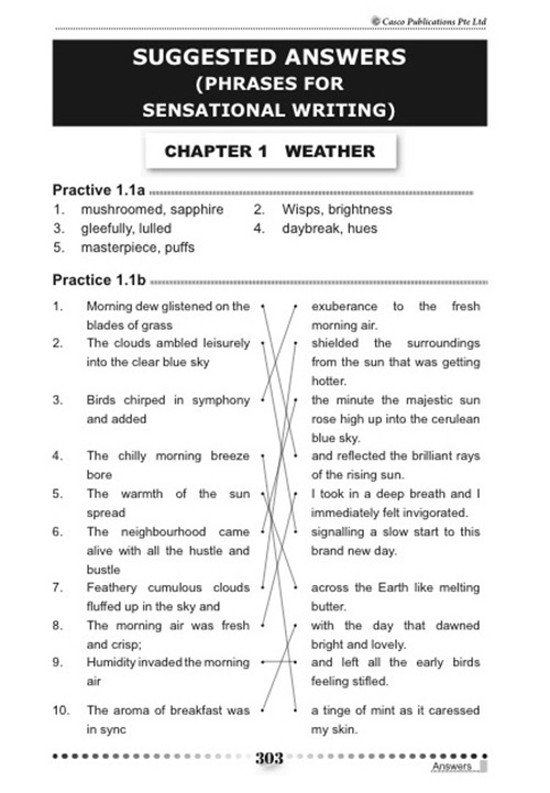Phrases for Sensational Writing 5