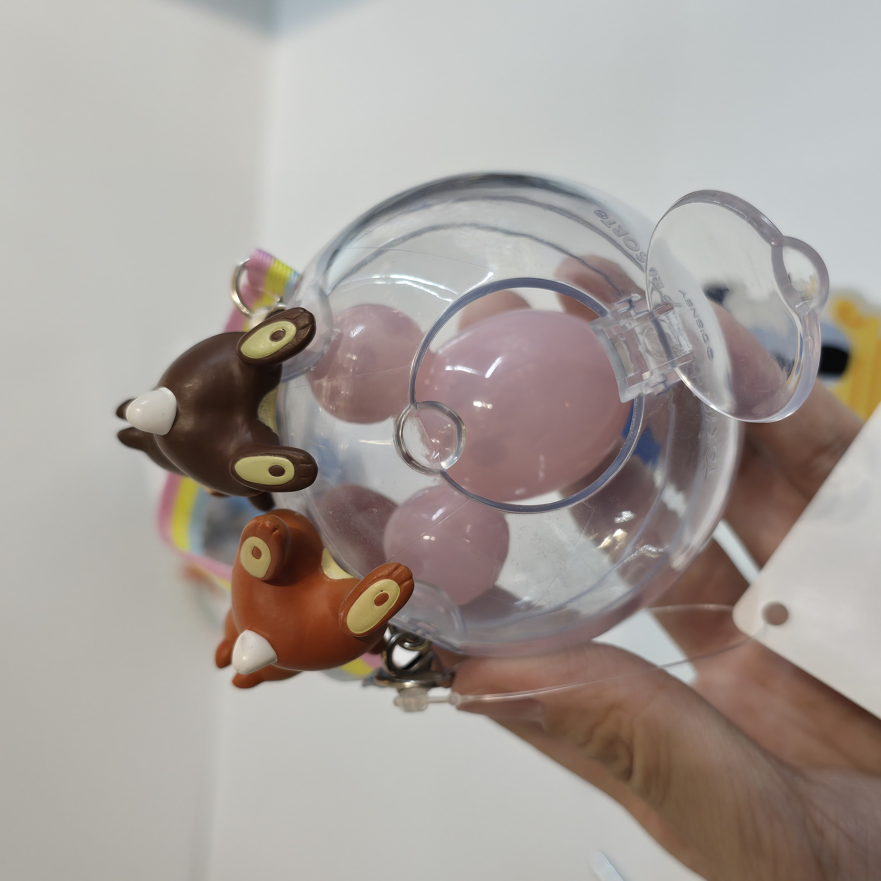 現貨 樂園限定 Chipndale 糖盒