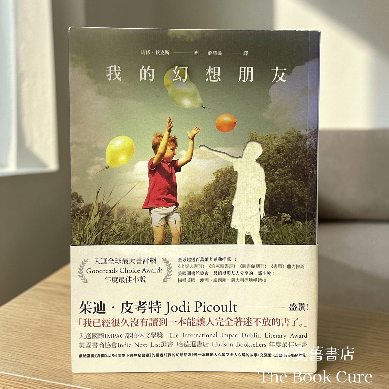 我的幻想朋友 / 茱迪．皮考特 著