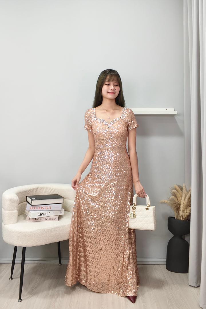 60102 Sparkle Embellished Evening Gown