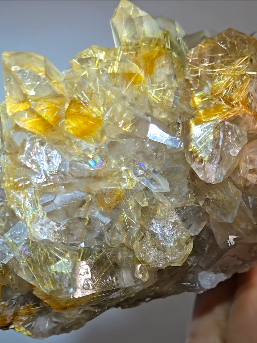 High-grade golden starburst rutiles on black hematite in quartz - RT1434