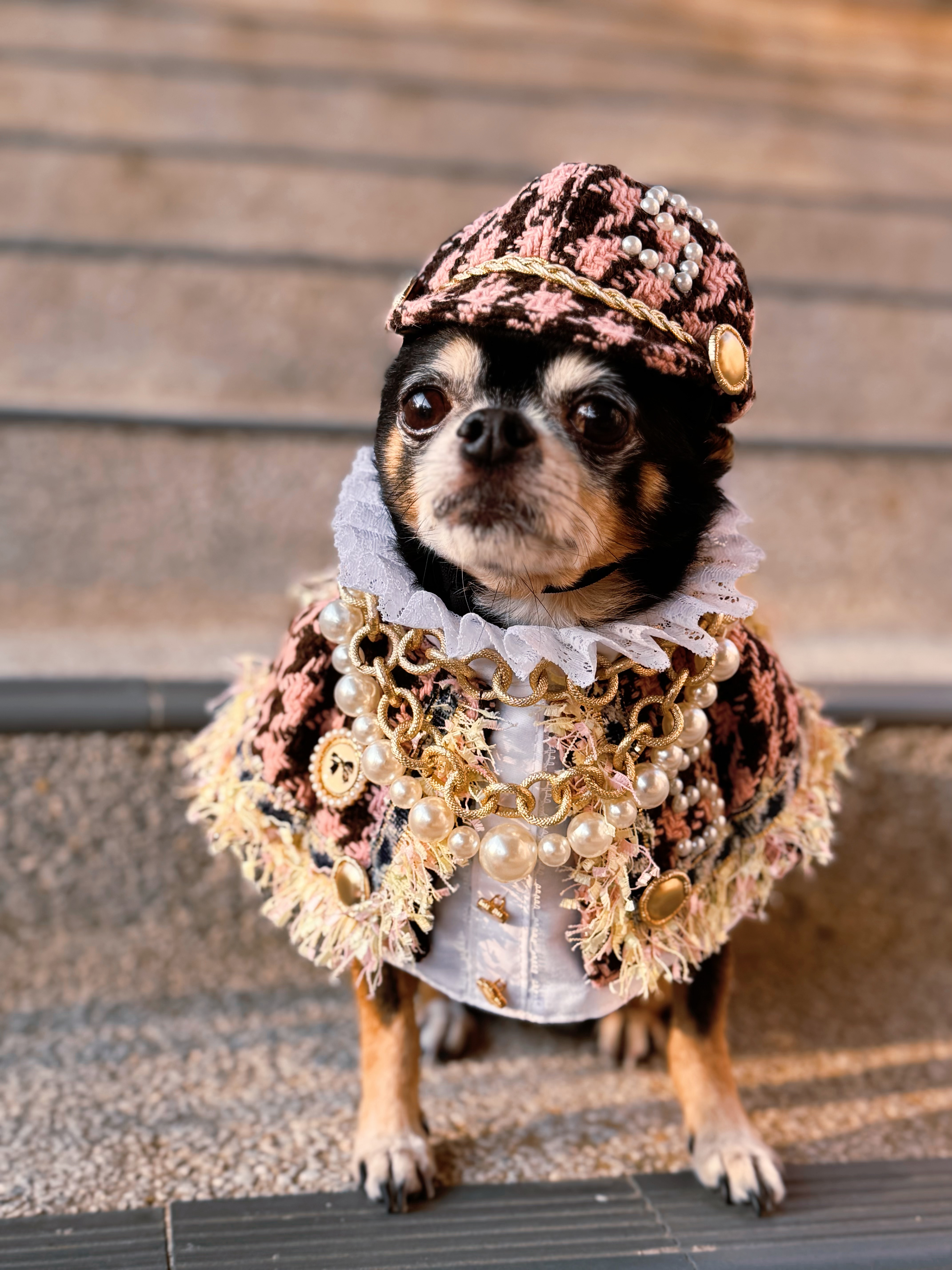 寵物原創設計 低調奢華小香風 寵物頸飾